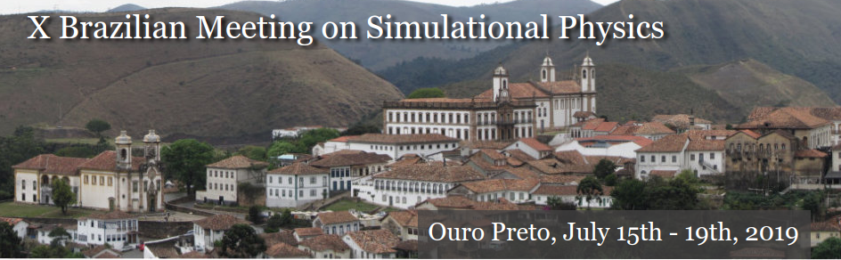 X Brazilian Meeting on Simulational Physics X Brazilian Meeting on Simulational Physics